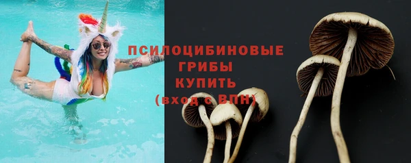 амф Нягань