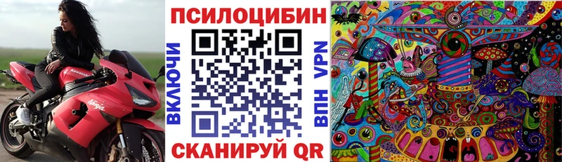 Купить закладки  Цоци-Юрт  Галлюциногенные грибы Magic Shrooms 